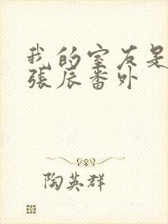 我的室友是直男张辰番外