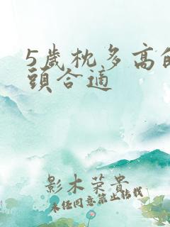 5岁枕多高的枕头合适