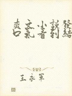 爽文小说发疯一口气看到结局