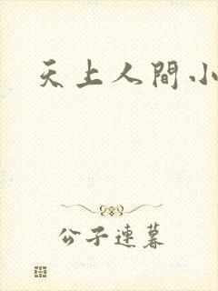 天上人间小说