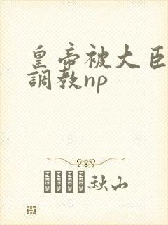 皇帝被大臣玩弄调教np