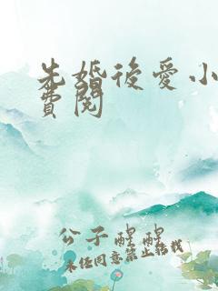 先婚后爱小说免费阅