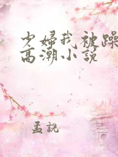 少妇我被躁爽到高潮小说