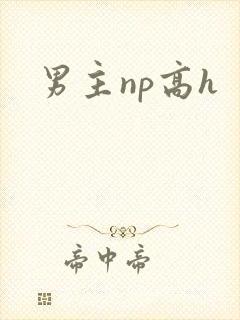 男主np高h