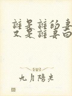 谁是谁的妻子谁又是谁妻白结东子小说