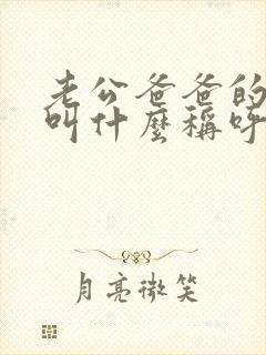 老公爸爸的哥哥叫什么称呼