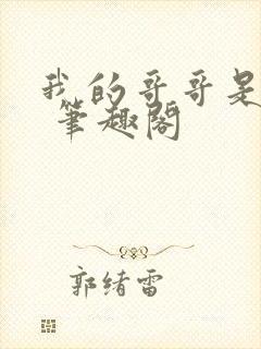 我的哥哥是高欢 笔趣阁