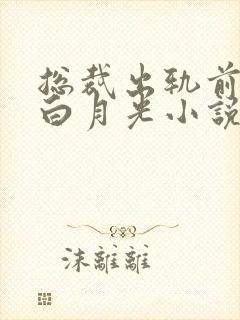 总裁出轨前女友白月光小说