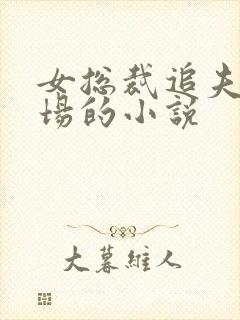 女总裁追夫火葬场的小说