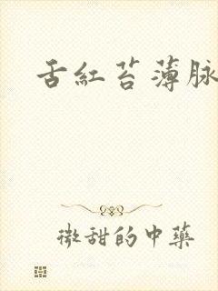 舌红苔薄脉弦细