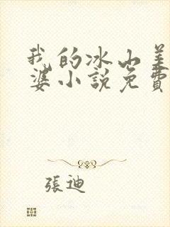 我的冰山美女老婆小说免费阅读