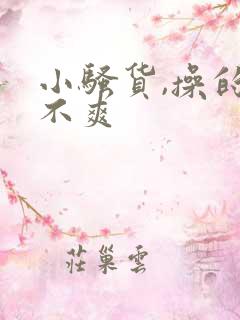 小骚货,操的爽不爽