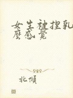 女生被捏乳头什么感觉