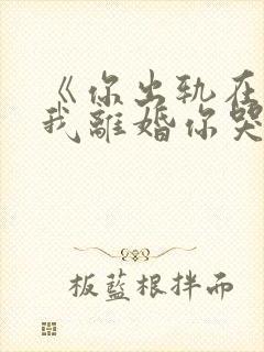 《你出轨在先,我离婚你哭什么》