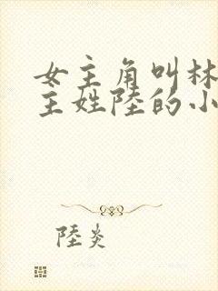 女主角叫林夏男主姓陆的小说