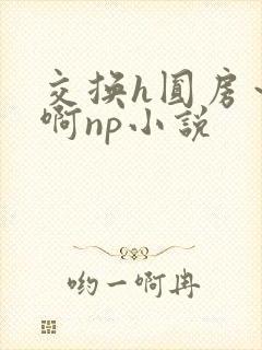 交换h圆房～嗯啊np小说