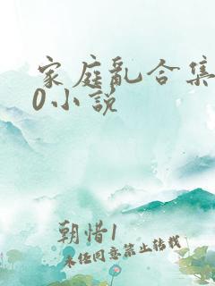 家庭乱合集500小说