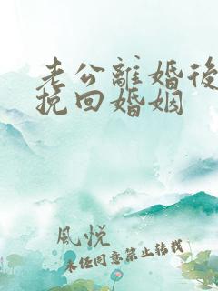 老公离婚后如何挽回婚姻