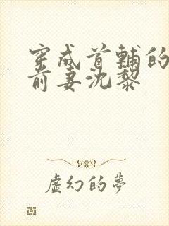 穿成首辅的炮灰前妻沈黎