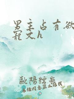 男主占有欲强肉宠文h