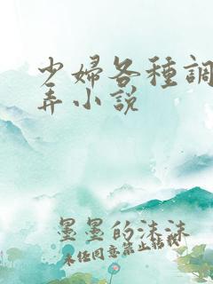 少妇各种调教玩弄小说