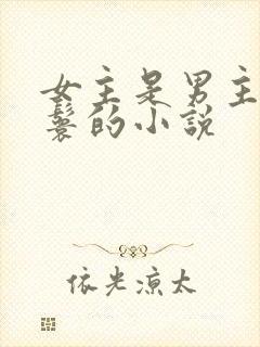 女主是男主的丫鬟的小说