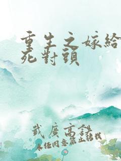 重生之嫁给渣男死对头