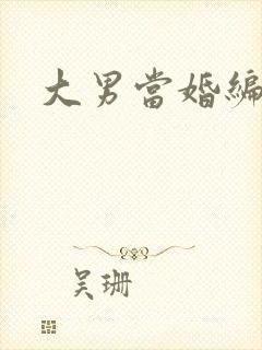 大男当婚编剧