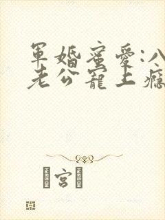 军婚蜜爱:八零老公宠上瘾下载