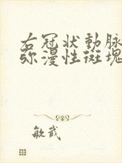 右冠状动脉全程弥漫性斑块