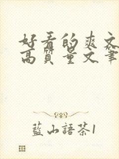 好看的爽文小说高质量文笔好