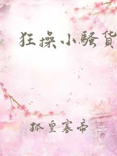 狂操小骚货小说