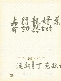 上门龙婿叶辰,萧初然txt