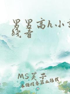 男男高h小说在线看