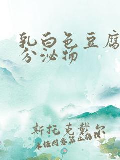 乳白色豆腐渣样分泌物