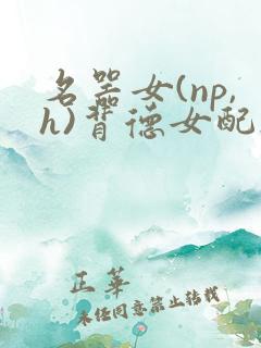 名器女(np,h)背德女配h