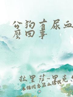 公狗有尿血是怎么回事