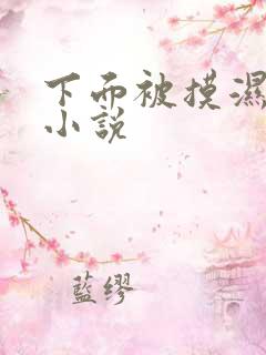 下面被摸湿了的小说