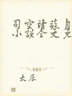 司空靖苏月汐的小说全文免费阅读