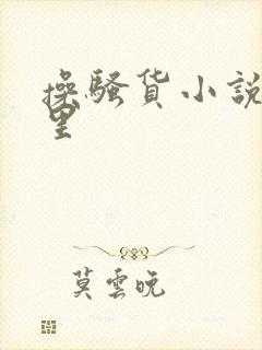 操骚货小说视频里