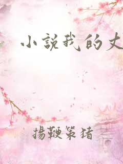 小说我的丈母娘