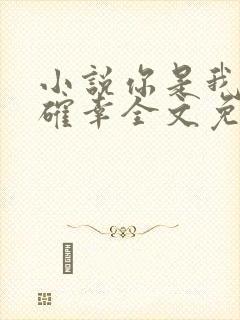 小说你是我的小确幸全文免费阅读