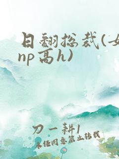 日翻总裁(女攻np高h)