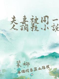 夫妻被同一个主人调教小说