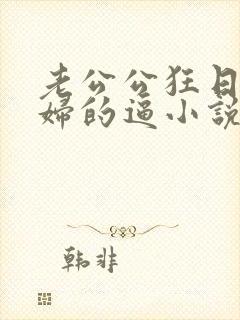 老公公狂日儿媳妇的逼小说