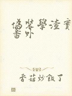 伪装学渣实体书番外