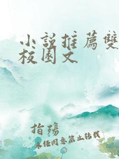 小说推荐双男主校园文