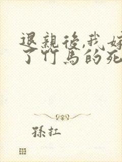 退亲后,我嫁给了竹马的死对头