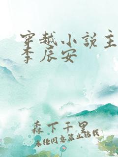 穿越小说主人公李辰安