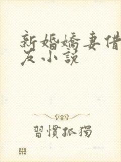 新婚娇妻借给朋友小说